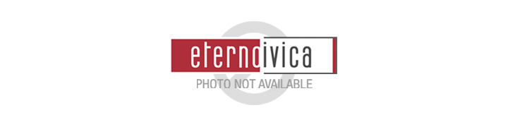 Eterno Ivica complies with the REACH regulation Eterno Ivica complies with the REACH regulation